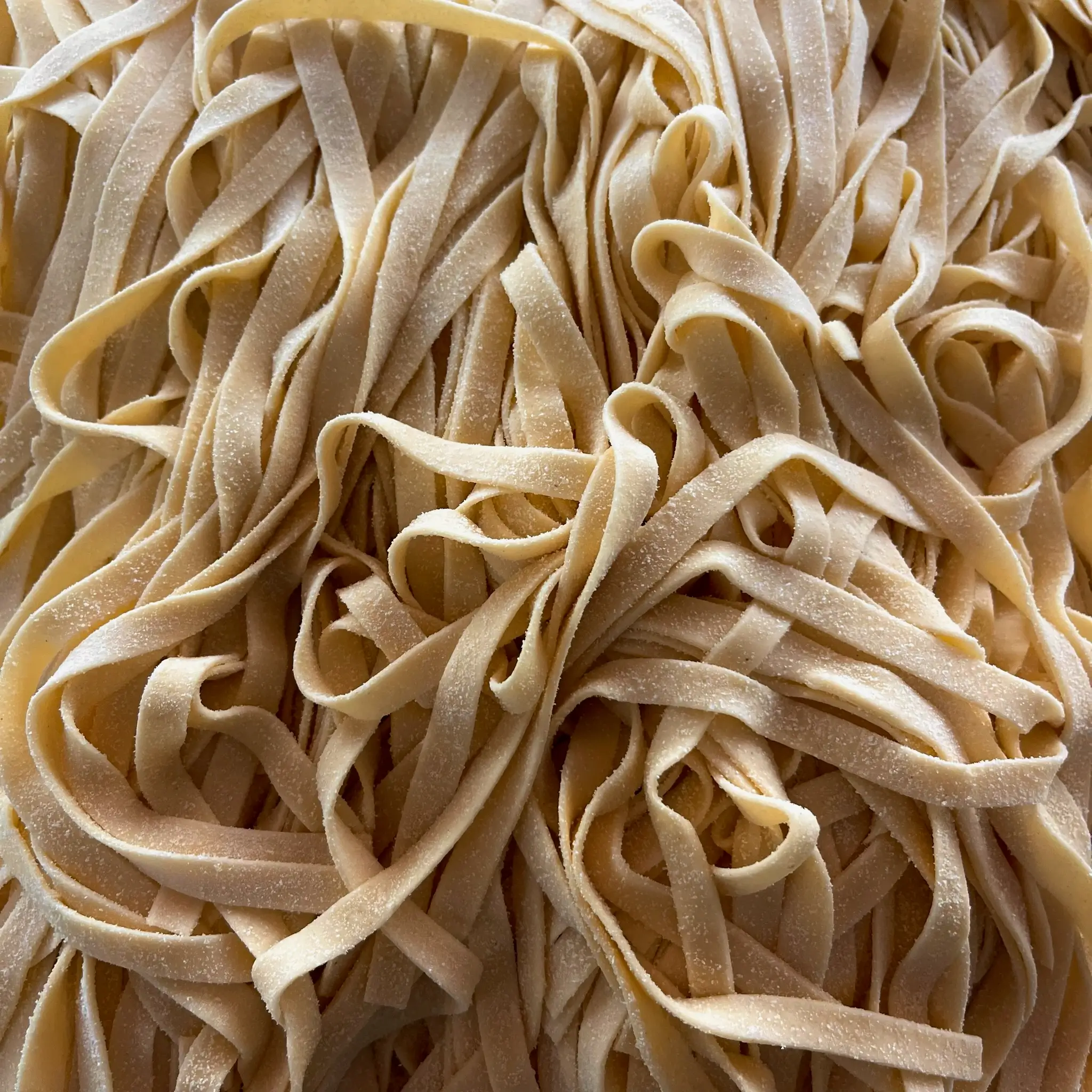 Sveže domače testenine fettuccine – srednje široki trakovi jajčne testenine, zviti v gnezdo, s hrapavo teksturo za odličen oprijem omak.