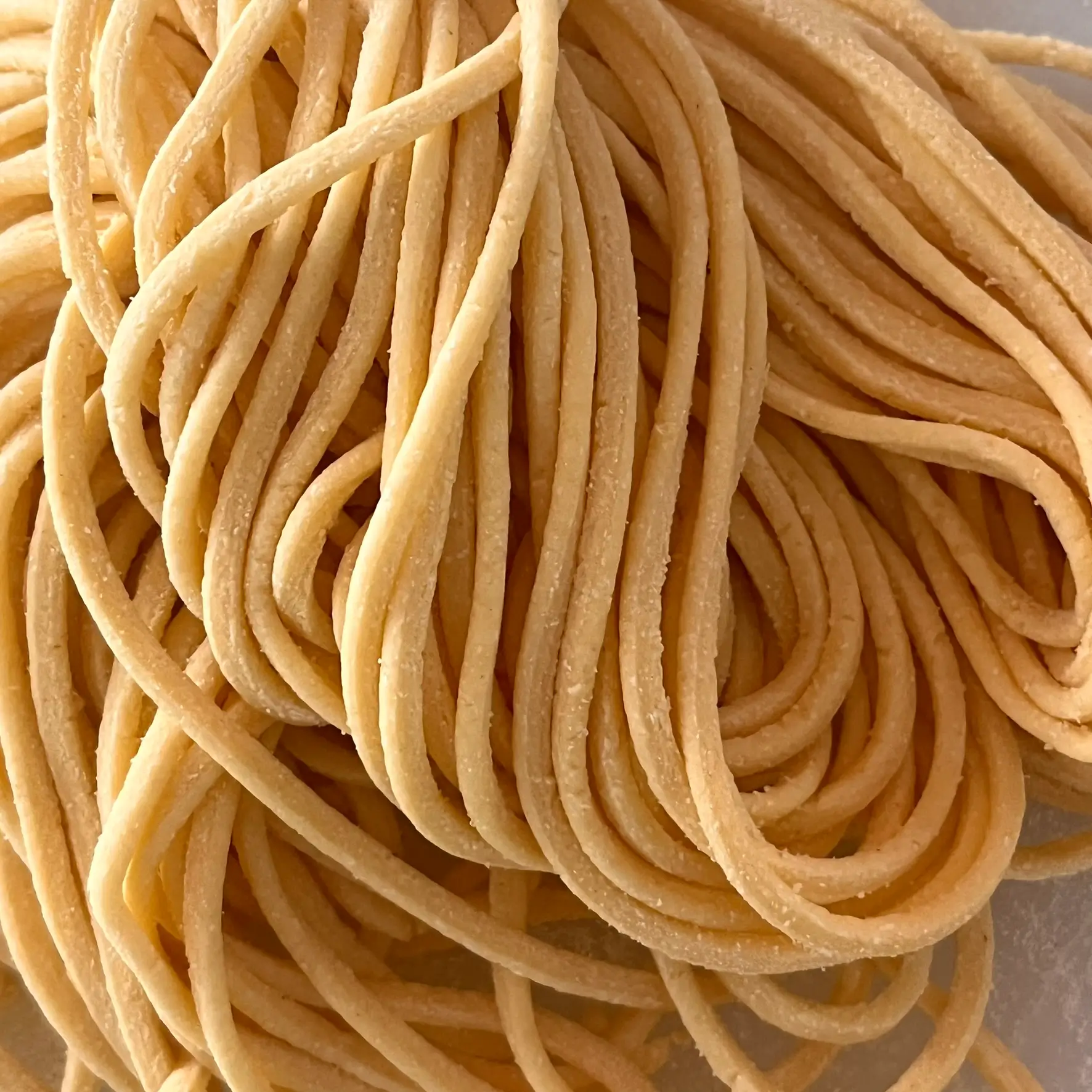 Ročno izdelane sveže testenine tonnarelle, debelejši kvadratni rezanci s hrapavo teksturo, idealni za bogate omake.